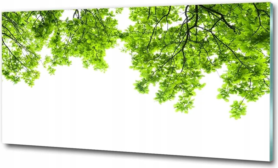 Fotó kép fotó edzett üveg Fű 100x70