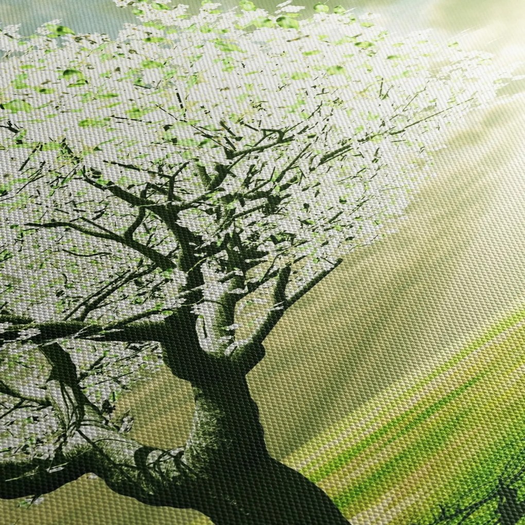 Fa képe a réten (120x50 cm)