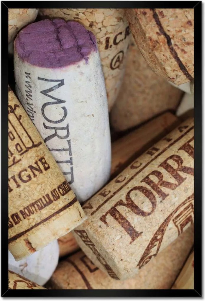 Poszterek keretben 40x60 Színes bordugók