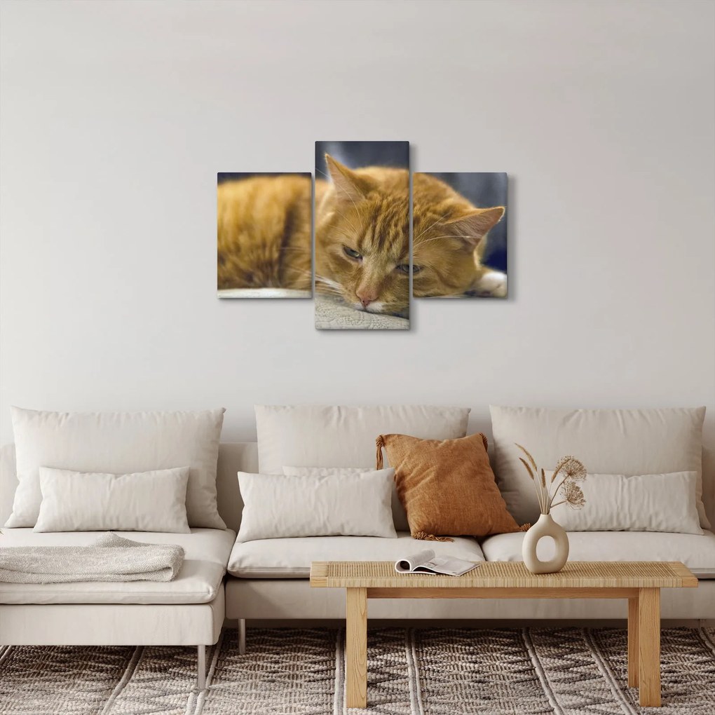 Macska képe (90x60 cm)