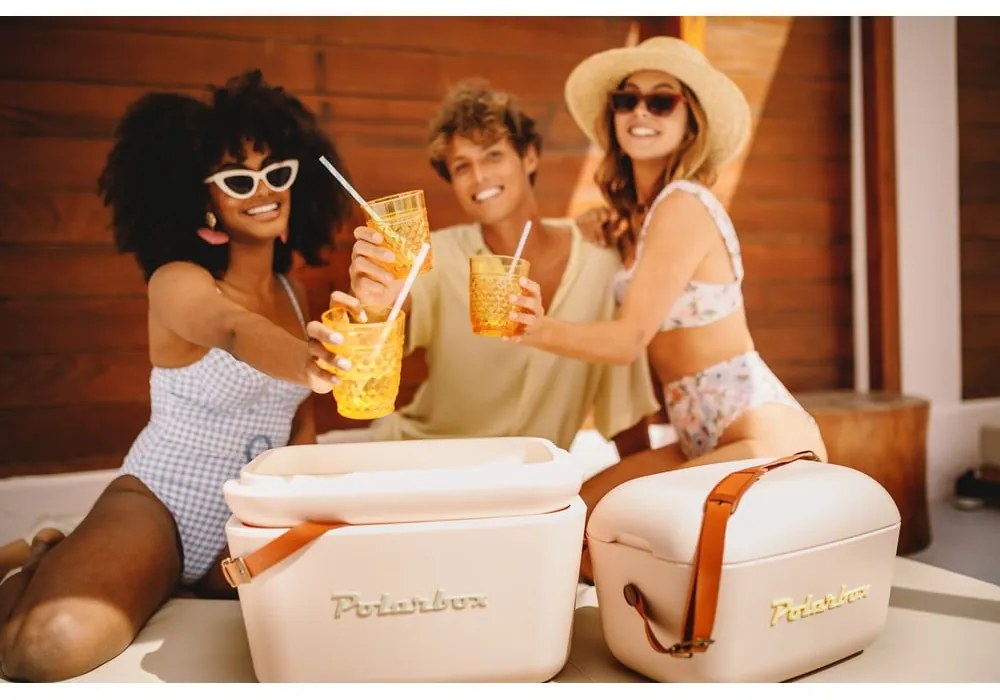 Törtrózsaszín hűtődoboz 20 l Classic – Polarbox