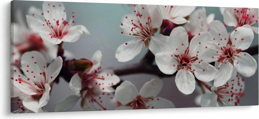 Virágos kép - piros (120x50 cm)