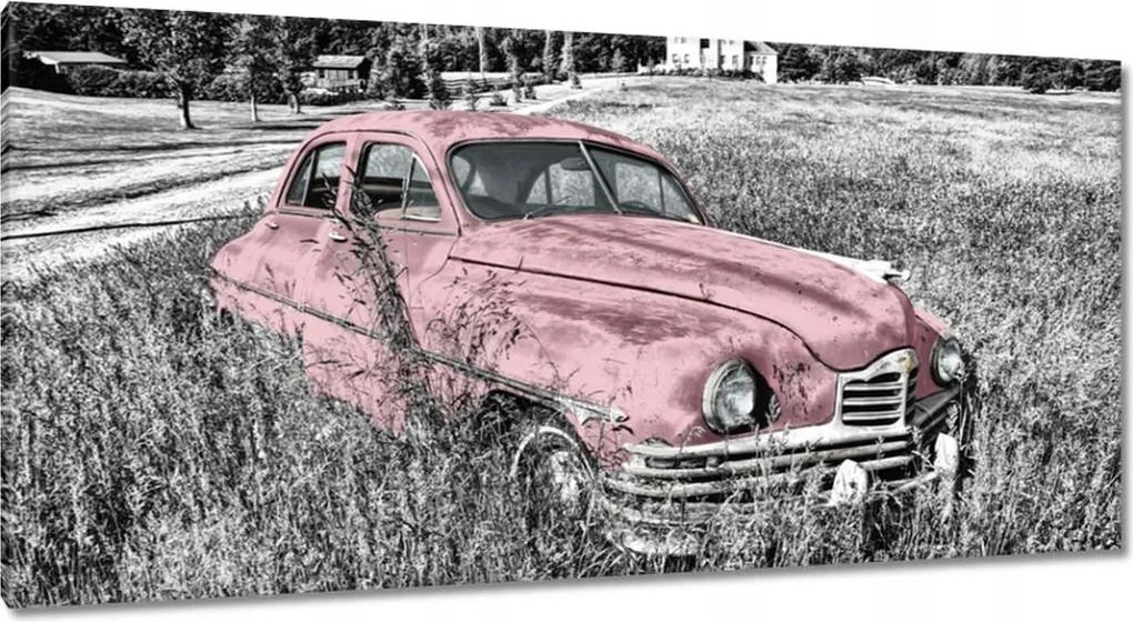 Vászonkép 115x55 Rózsaszín nagymama Antik