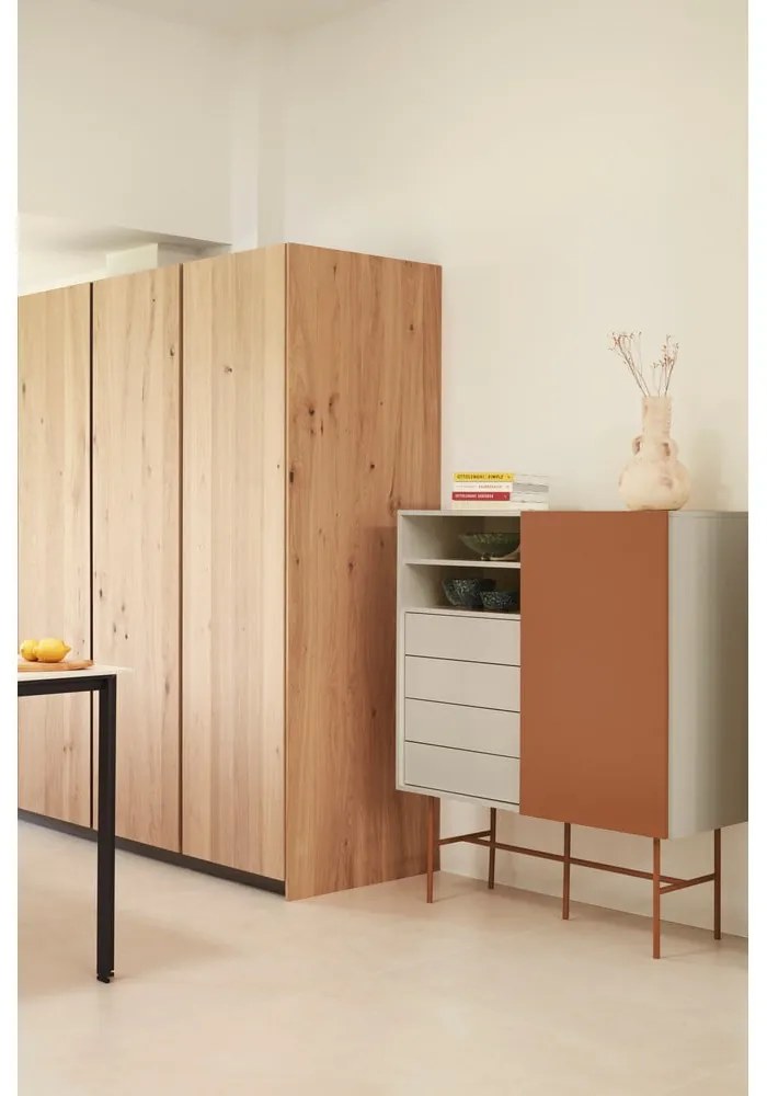 Téglavörös-bézs magas komód tolóajtóval 120x140 cm Nube – Teulat