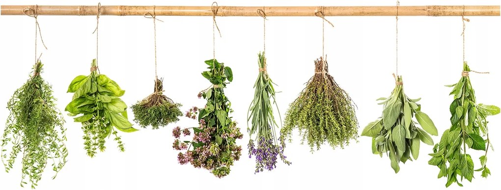 Fotó-üvegkép Gyógynövények a zsinóron 140x70