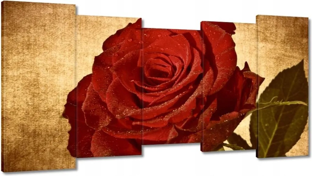 Vászonkép 150x80 Rózsa szépia háttérrel