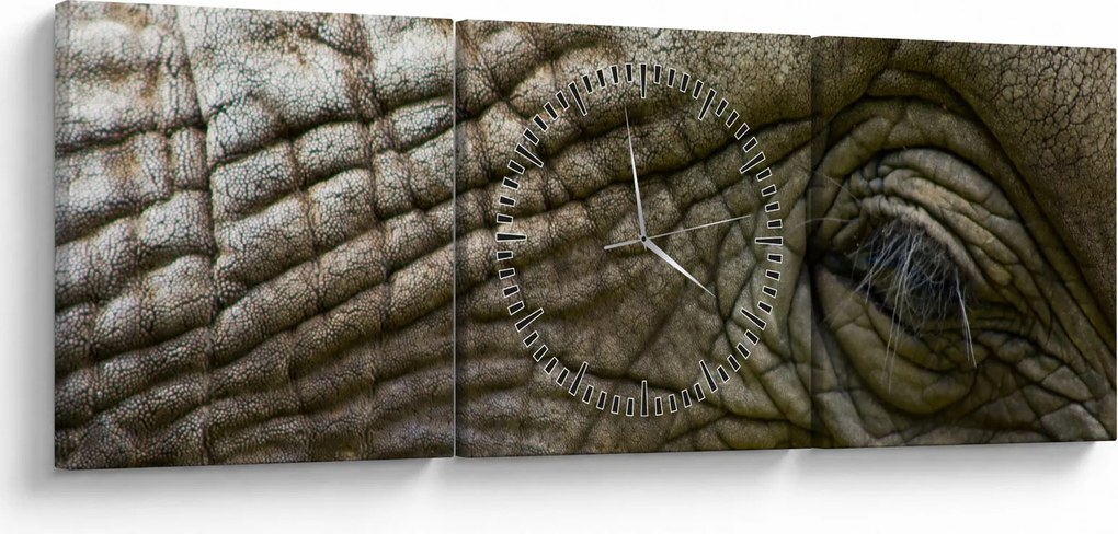 Kép - Közelkép az öreg elefánt szeméről (órával) (90x30 cm)