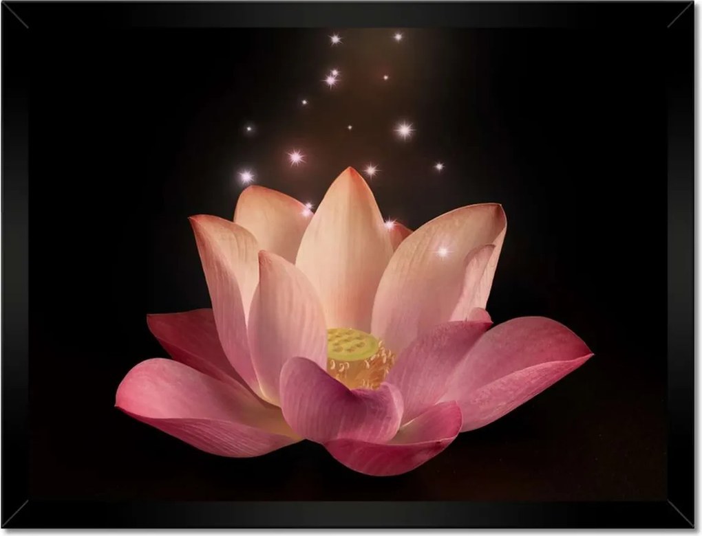 Poszter keretben 40x30 Rózsaszín lótuszvirág