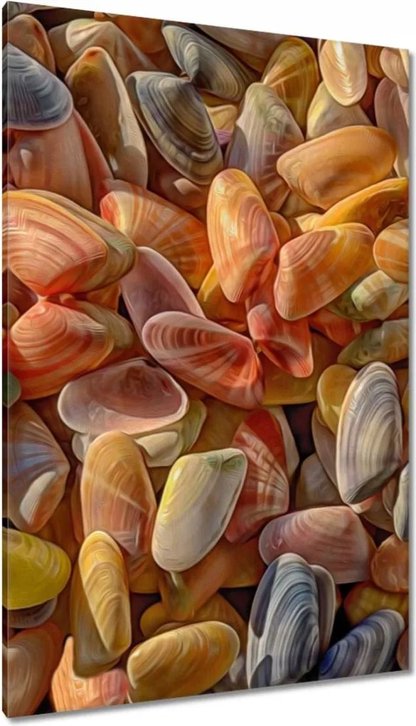 Vászonkép 80x120 Színes kagylók nyomtatás