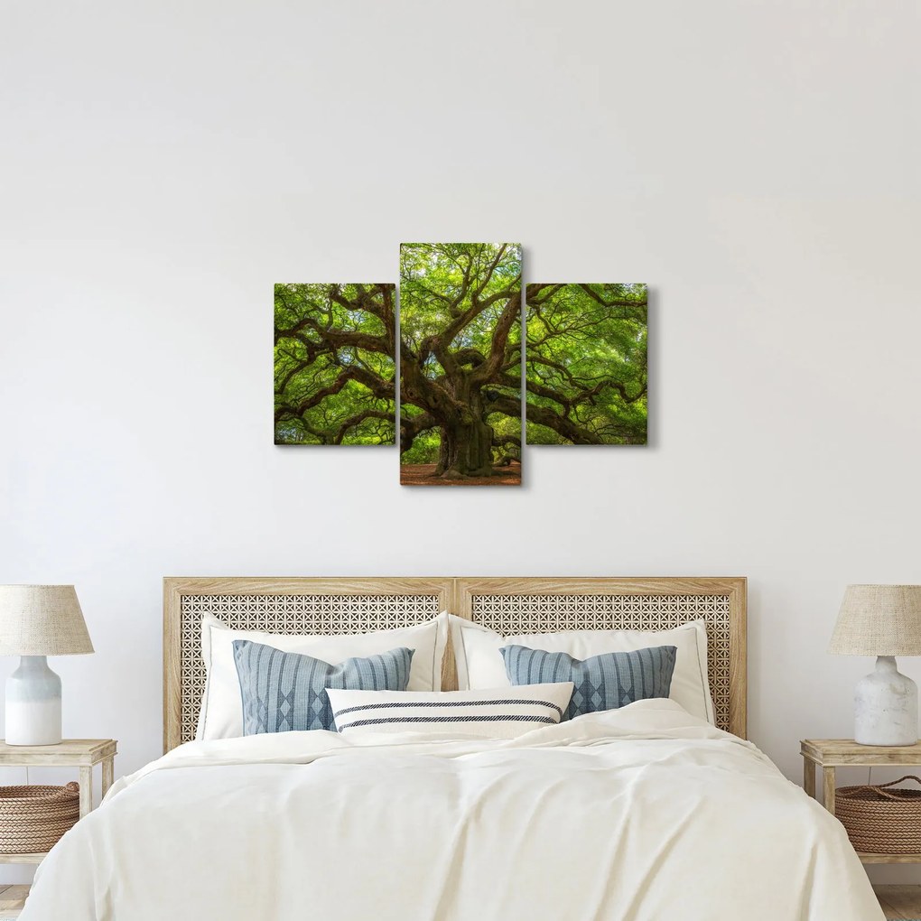 Kép - Zöld fa (90x60 cm)