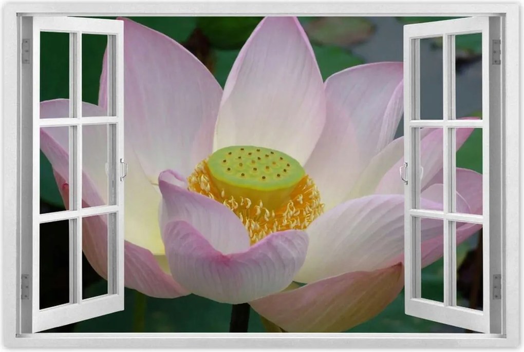 Poszterek 90x60 Lótusz Lótuszvirág