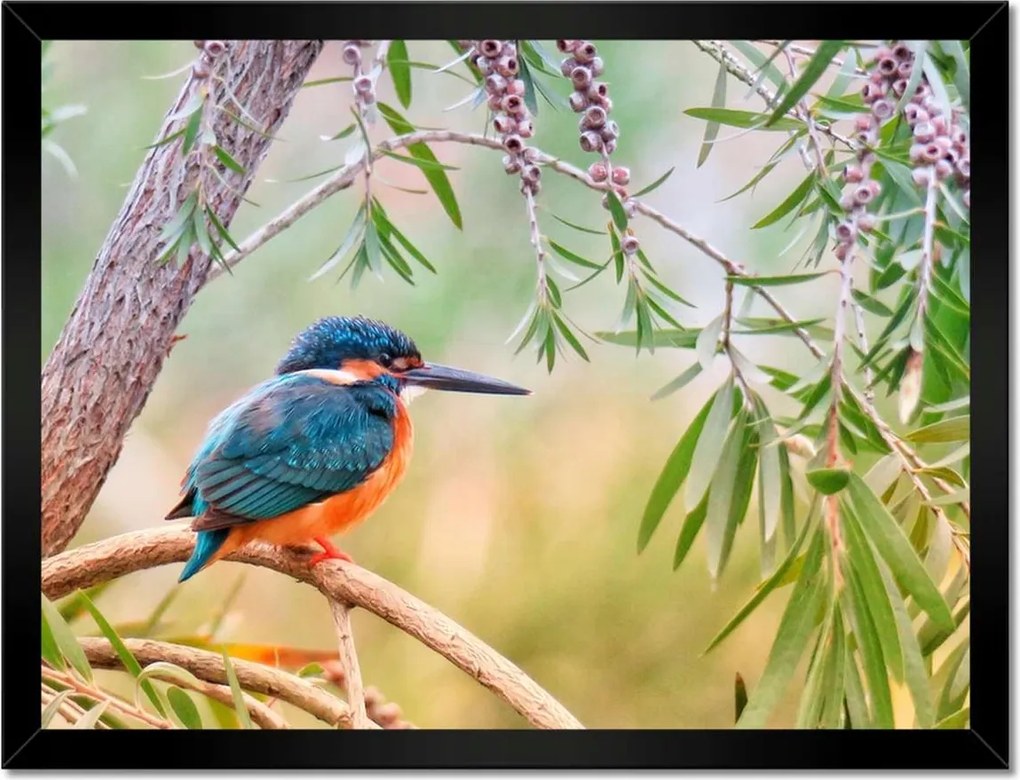 Poszterek keretben 40x30 Pihenés munka közben