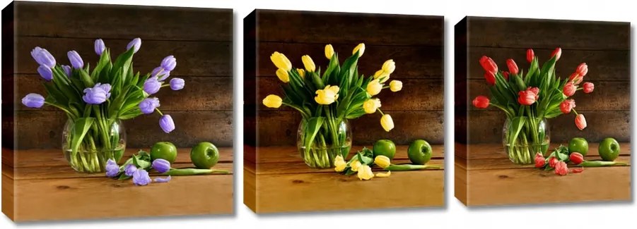 Képek Triptichonok 3x 30x30 Három szín Tulipánok