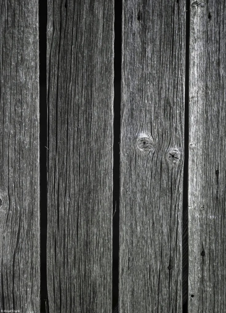 Poszter 20,5x28,4cm Fa díszlécek, Assaf Frank
