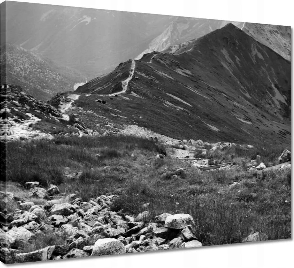 Vászonkép 50x40 Tátra Lengyel hegyek Kilátás