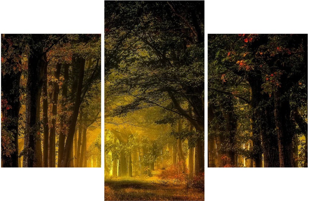 Erdő képe (90x60 cm)