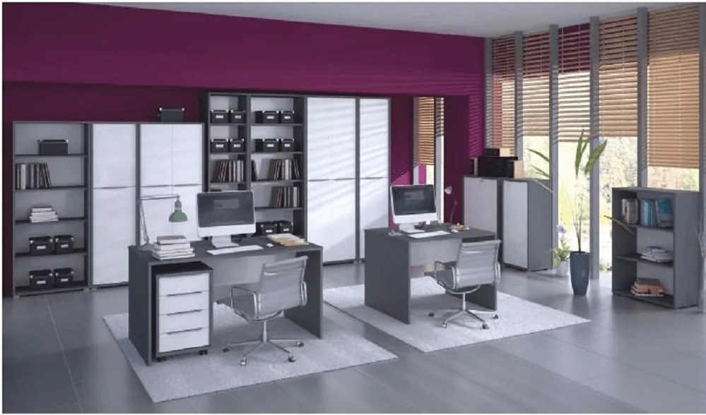 Szekrény, grafit/fehér, RIOMA NEW TYP 09