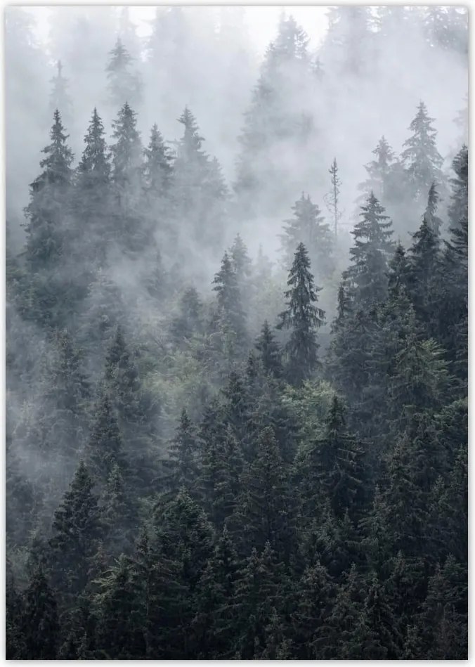 Poszterek A5 Pion Ködös hegyi táj