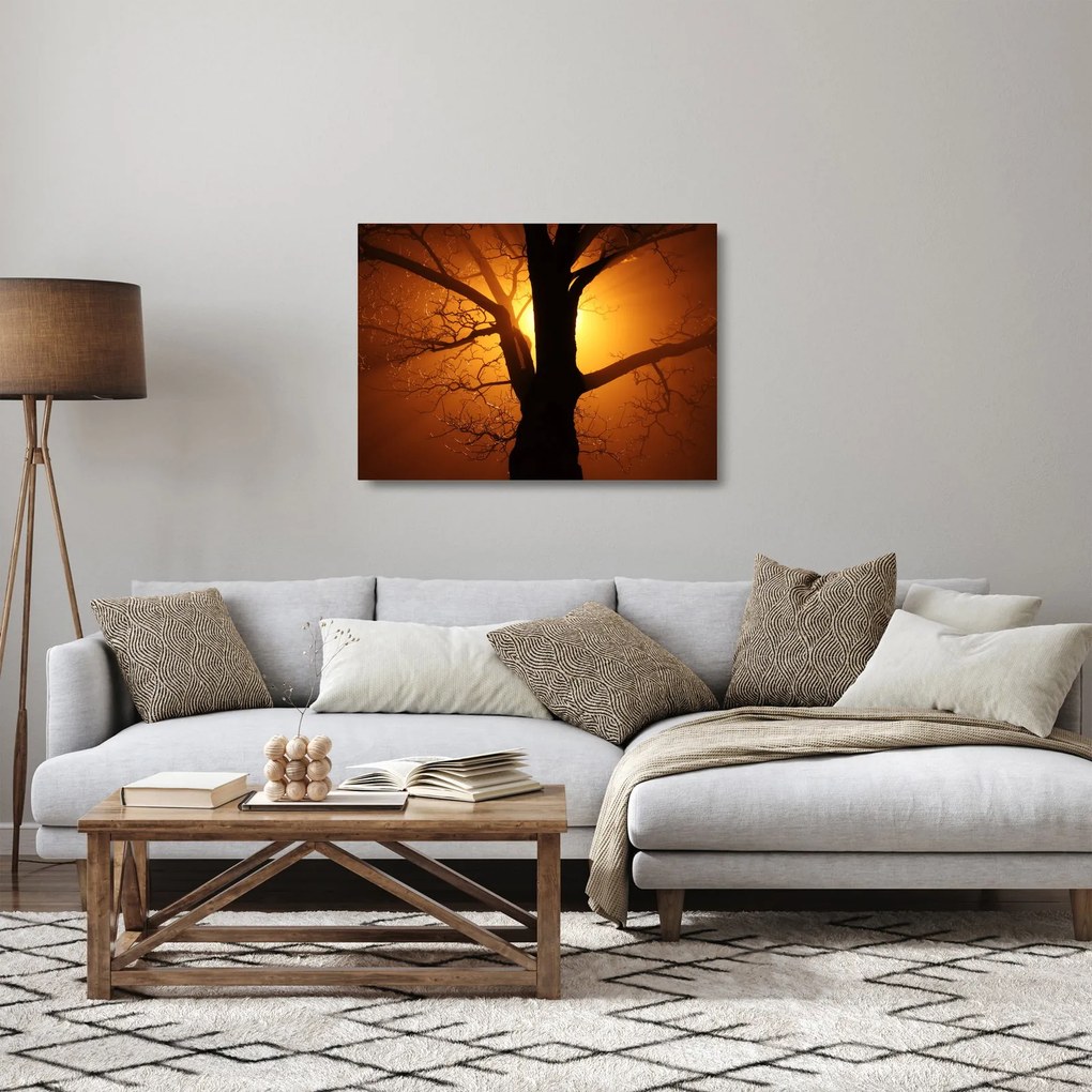 Kép egy fáról naplementekor (üvegen) (70x50 cm)