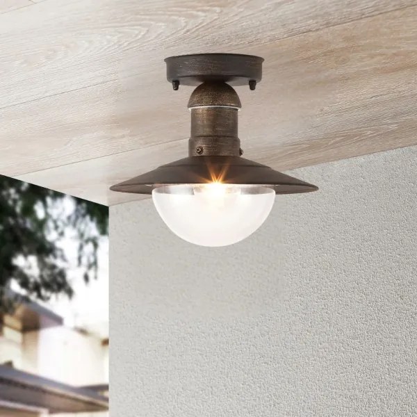 Brilagi - Kültéri mennyezeti lámpa MOLDE 1xE27/60W IP44 bronz/patina