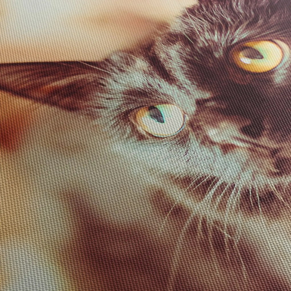 Fekete macska képe (120x50 cm)