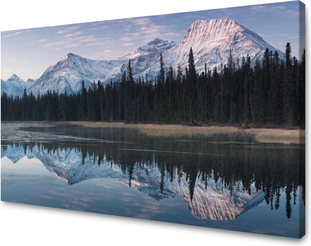 Vászonkép Tópart Víz Erdők Hó hegyek 90x60 cm