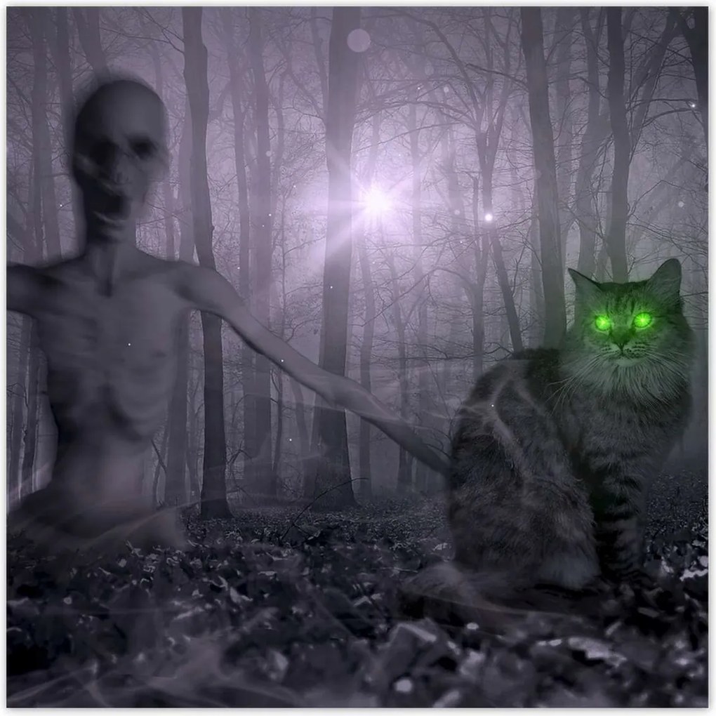 Poszterek 30x30 Macska Alien Lime Macskák