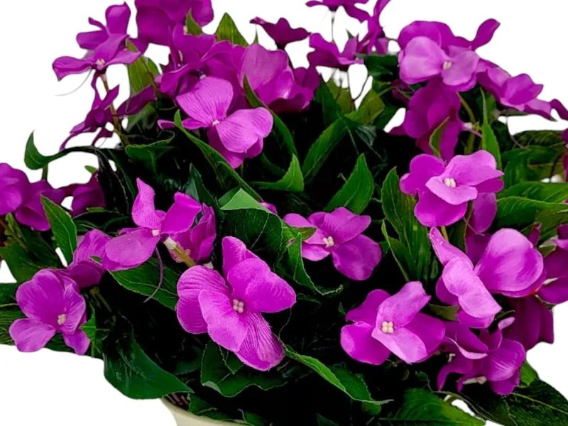 Mű Viola Virágok Balkonra, Teraszra, Muskátlihoz, 38 cm-es