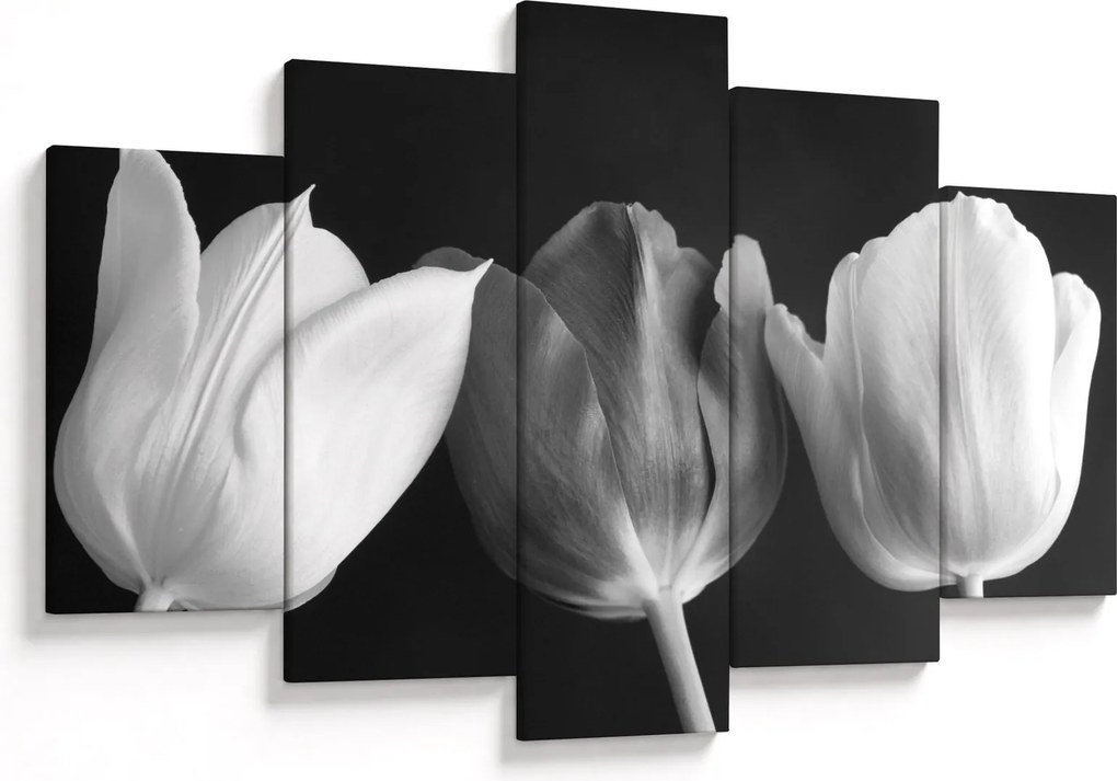 Kép - fekete-fehér tulipán virág (150x105 cm)