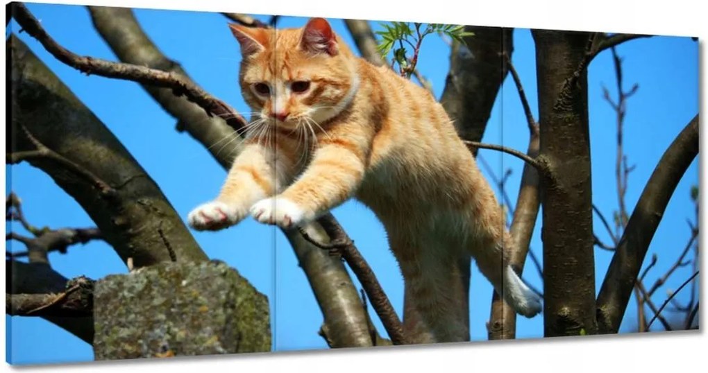 Vászonkép 180x90 Cica