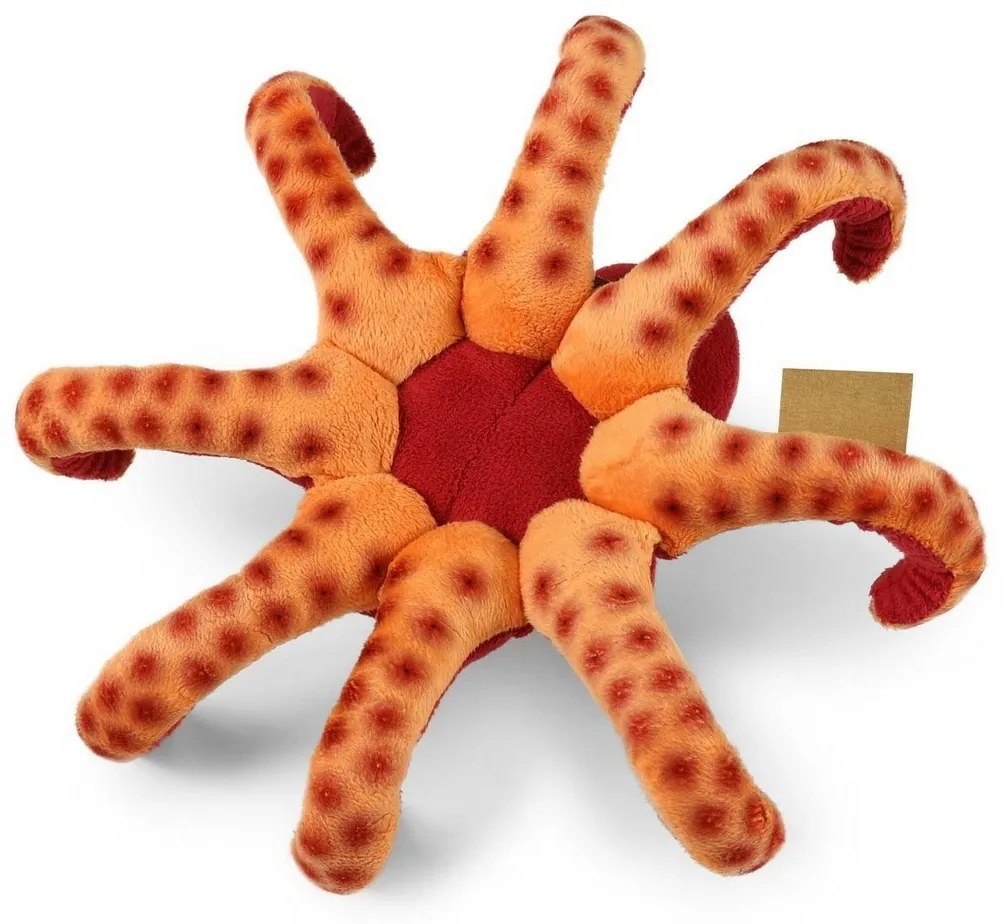 Rappa plüss polip 26 cm ECO - FRIENDLY