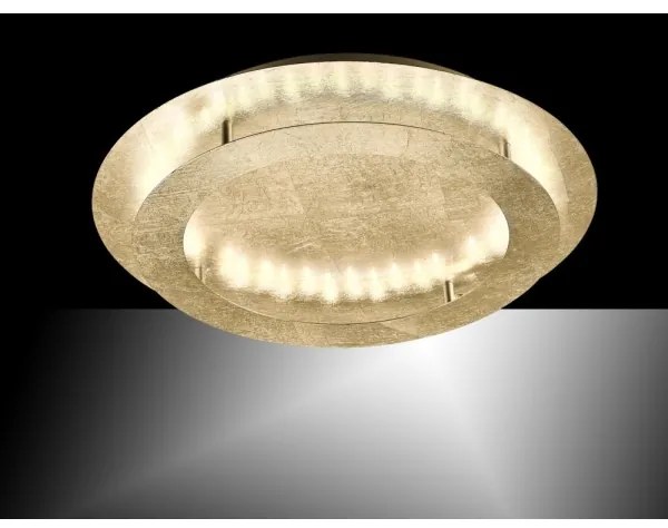 Paul Neuhaus 9621-12 - LED Mennyezeti lámpa NEVIS LED/24W/230V