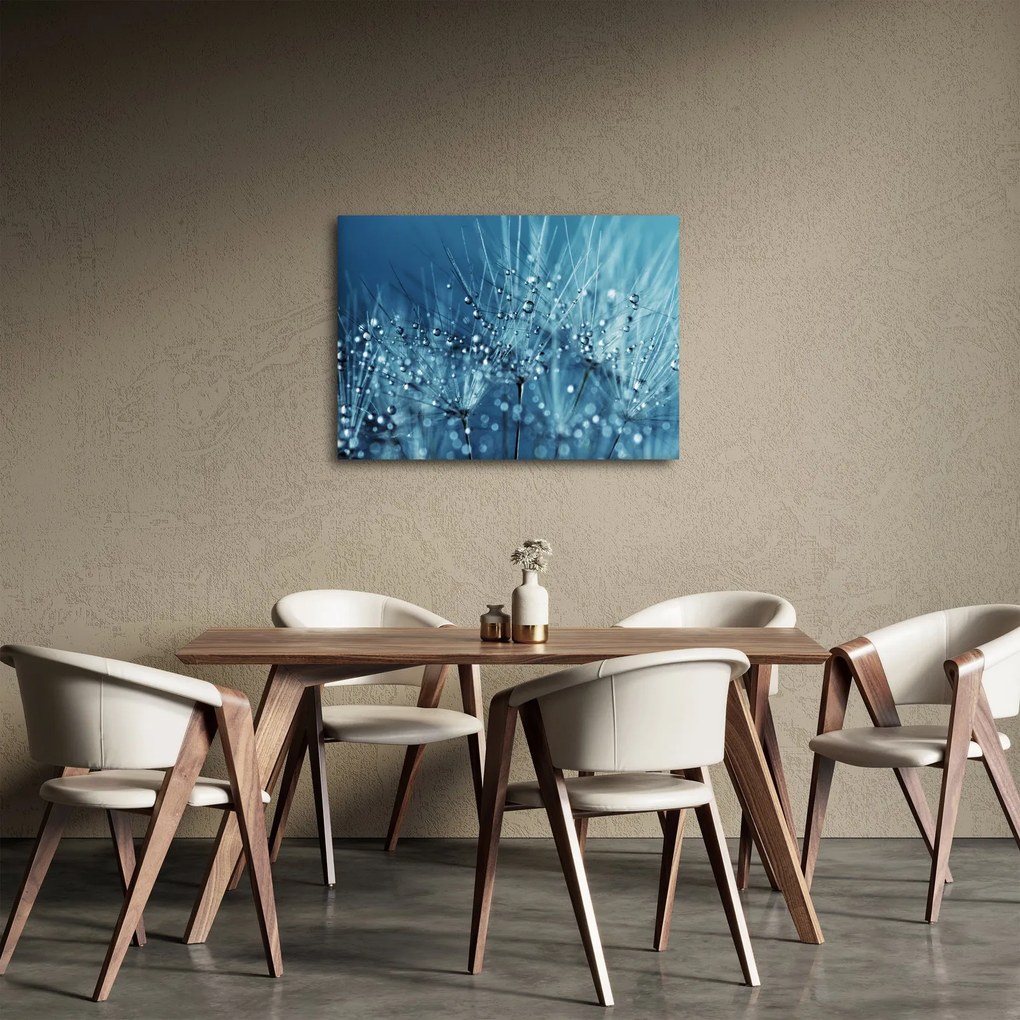 Kép - Harmatcseppek (70x50 cm)