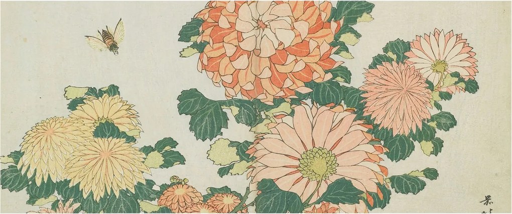 Tapéta Flizelin Falfestmény Prémium Krizantém Virágok 250x104 Ragasztó