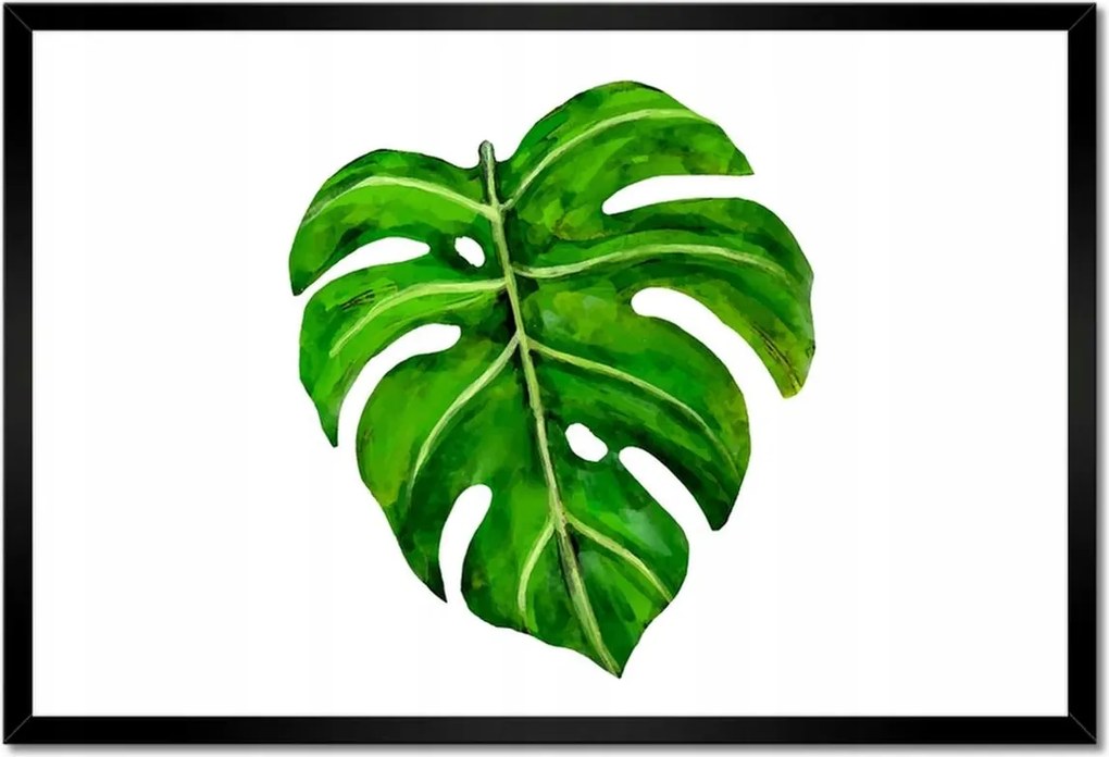 Poszterek keretben 60x40 Modern levél kép