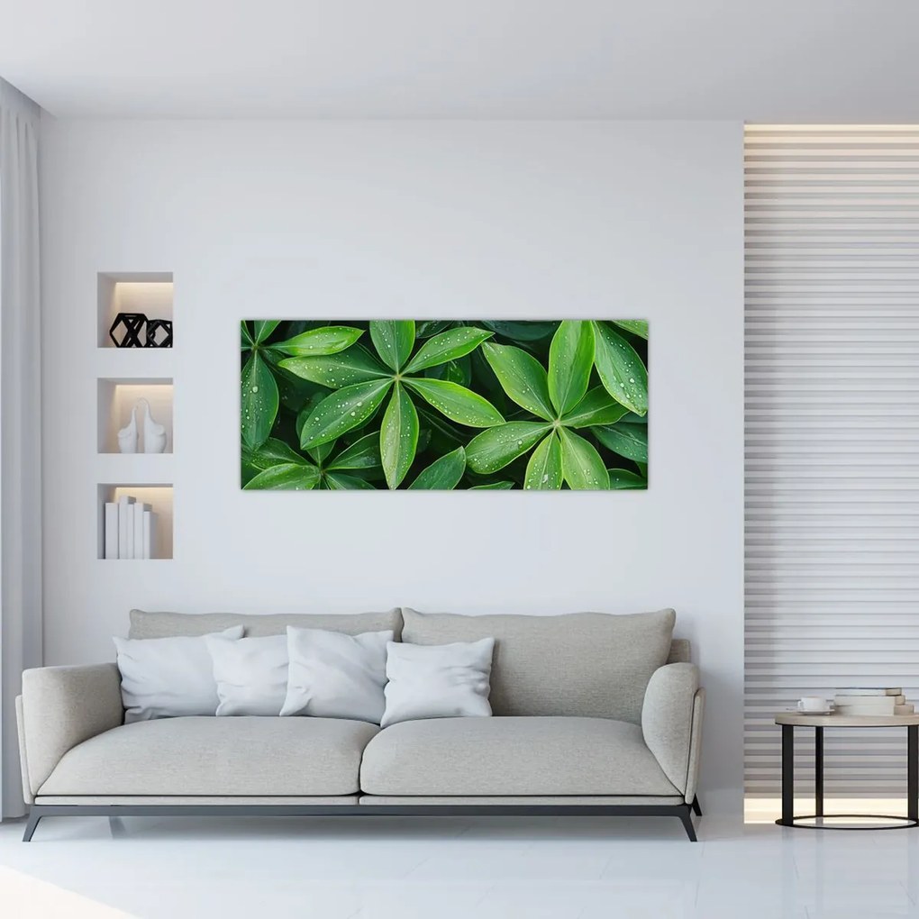 Kép - Levelek harmatcseppekkel (120x50 cm)