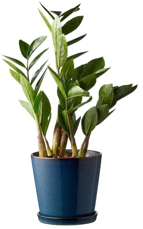 Kőedény kaspó ø 14 cm Gastro Dark Blue/Black – Bitz