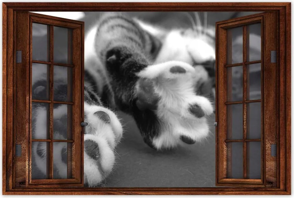 Plakátok 60x40 Macska, macskamancsok Cat