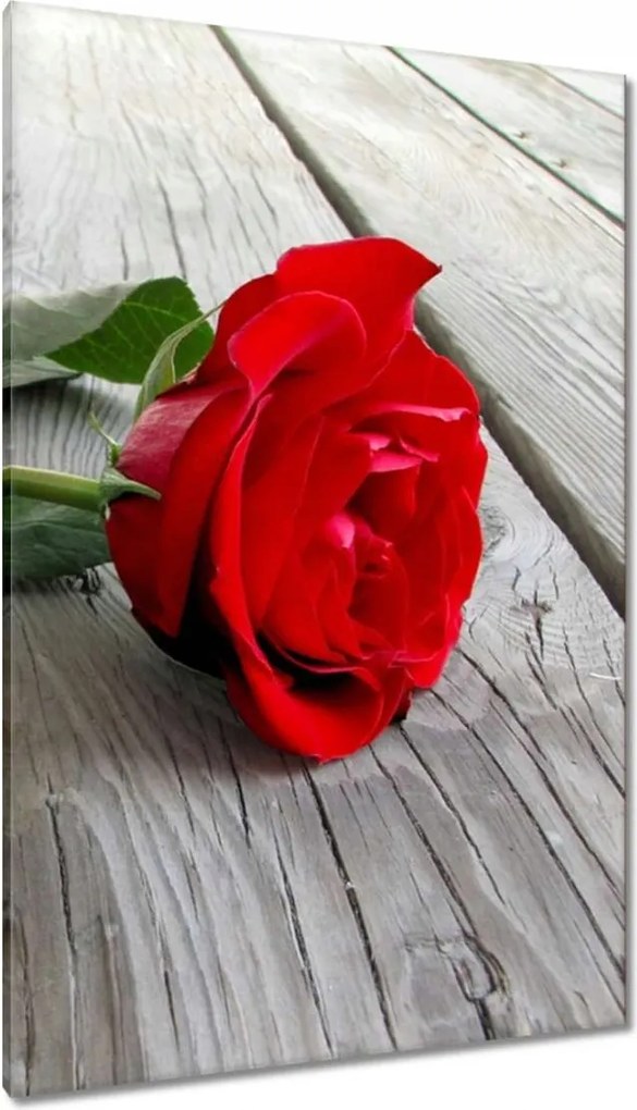 Vászonkép 80x120 Rózsa a deszkákon