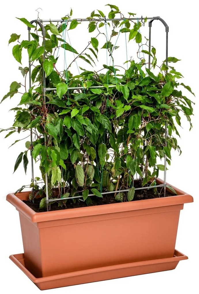 Gardenico Green Wall Magnus függőleges támasz, 80 cm