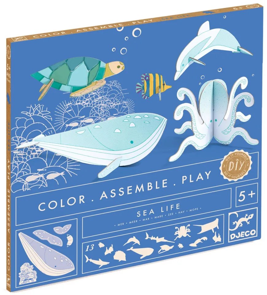 Készítsd magad! - Élet a tengerben 3D-ben - Sea life