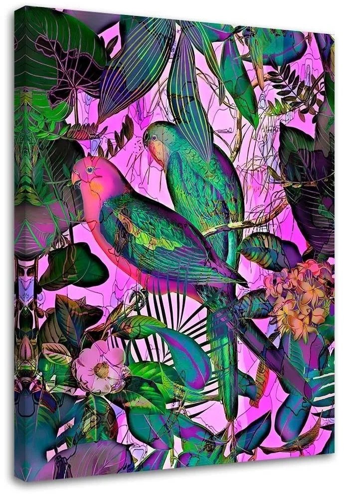 Gario Vászonkép Trópusi színes madarak - Andrea Haase Méret: 60 x 90 cm