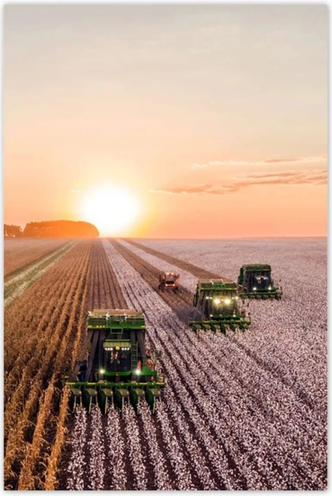 Poszterek 60x90 Aratás Mezőgazdaság Kombájn