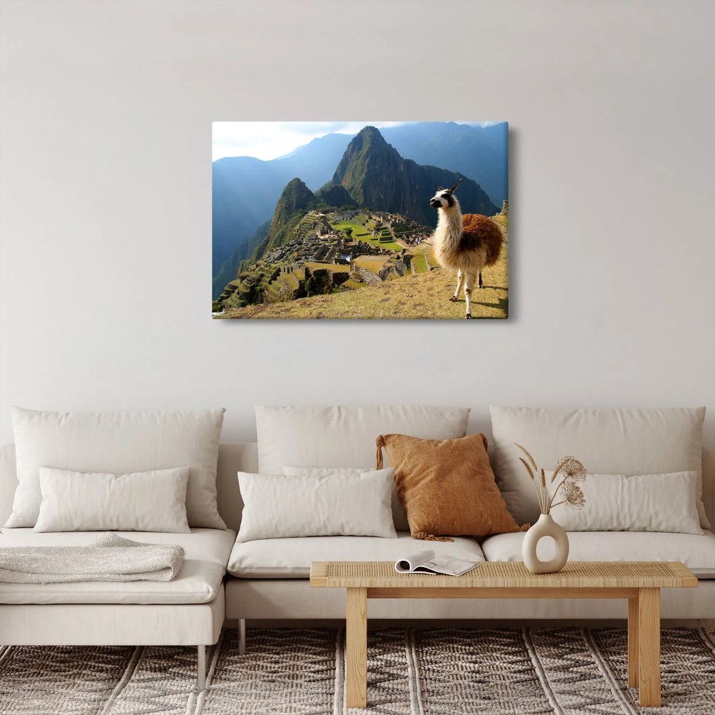 Kép - Láma és Machu Picchu (90x60 cm)