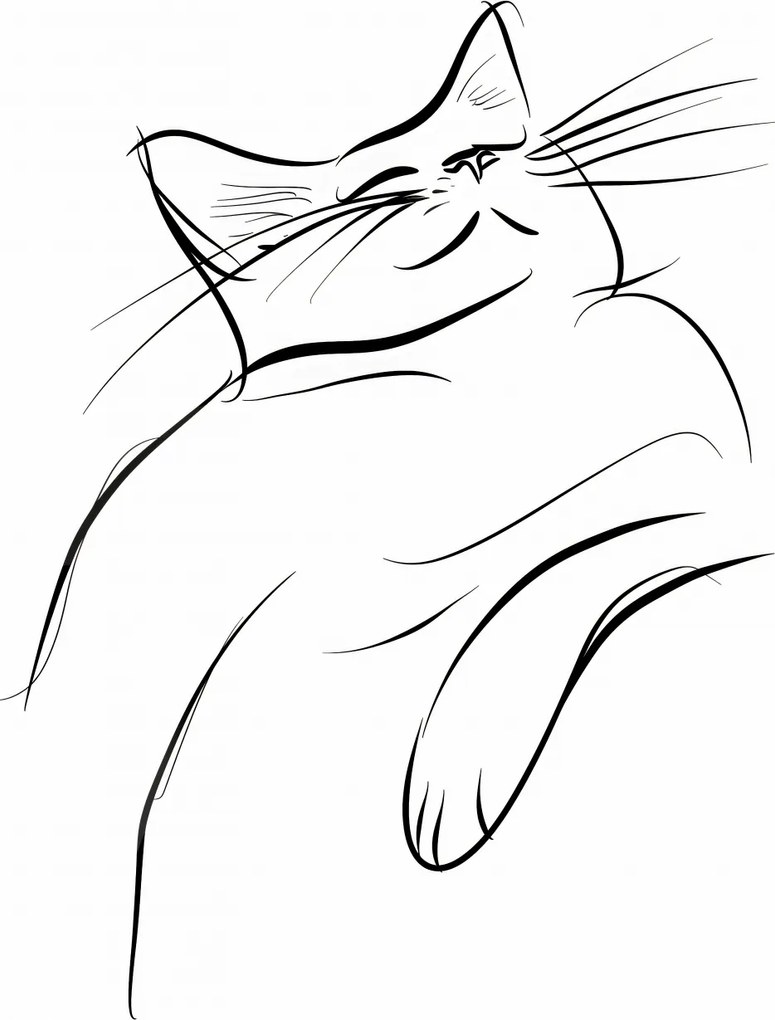 Poszter 30x45cm Macskaelégedettség vázlat