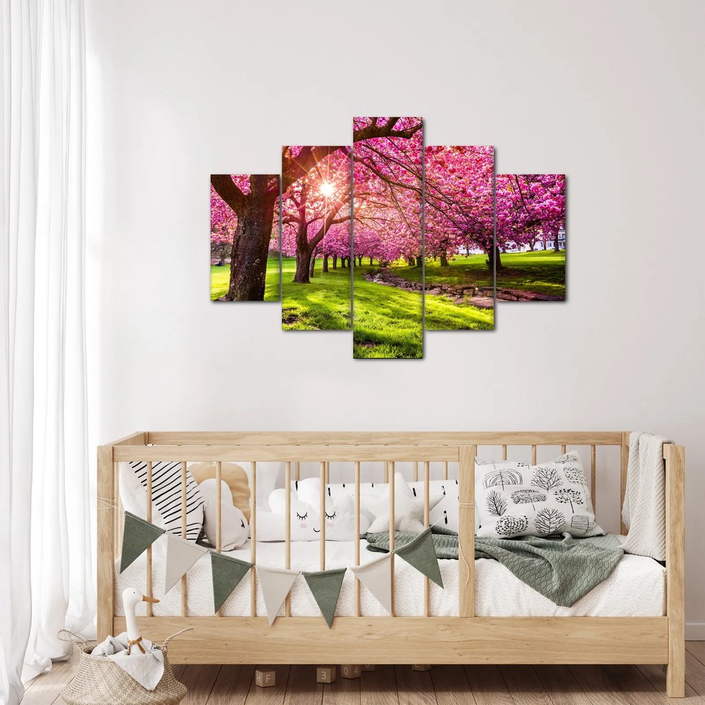 A virágzó cseresznye képe, Hurd Park, Dover, New Jersey (150x105 cm)