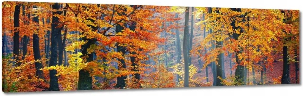 Vászonkép 170x50 Arany ősz