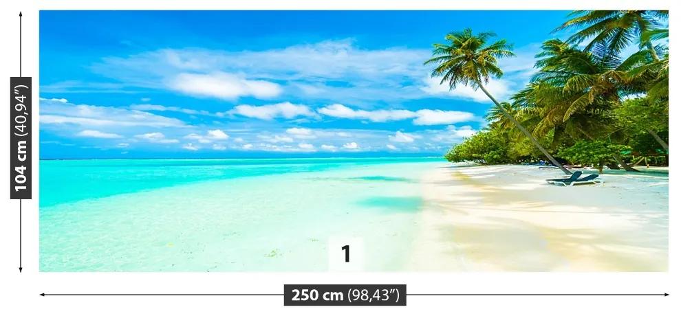 Fotótapéta tenger Palms 104x70 cm