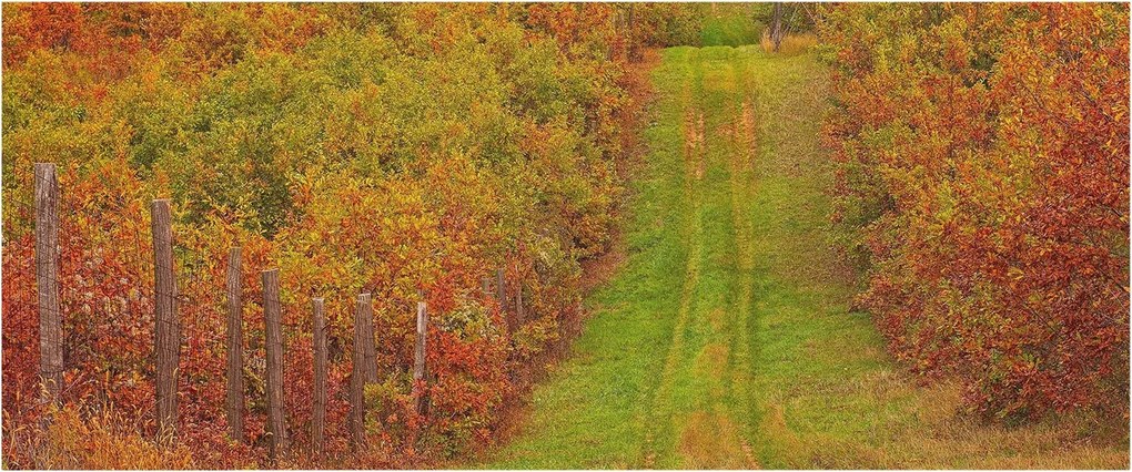Fotótapéta Flizelina Nappali és Hálószoba Irodába Őszi színek 250x104 Ragasztó