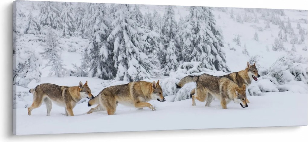 Kép - Farkasok a hegyekben (120x50 cm)